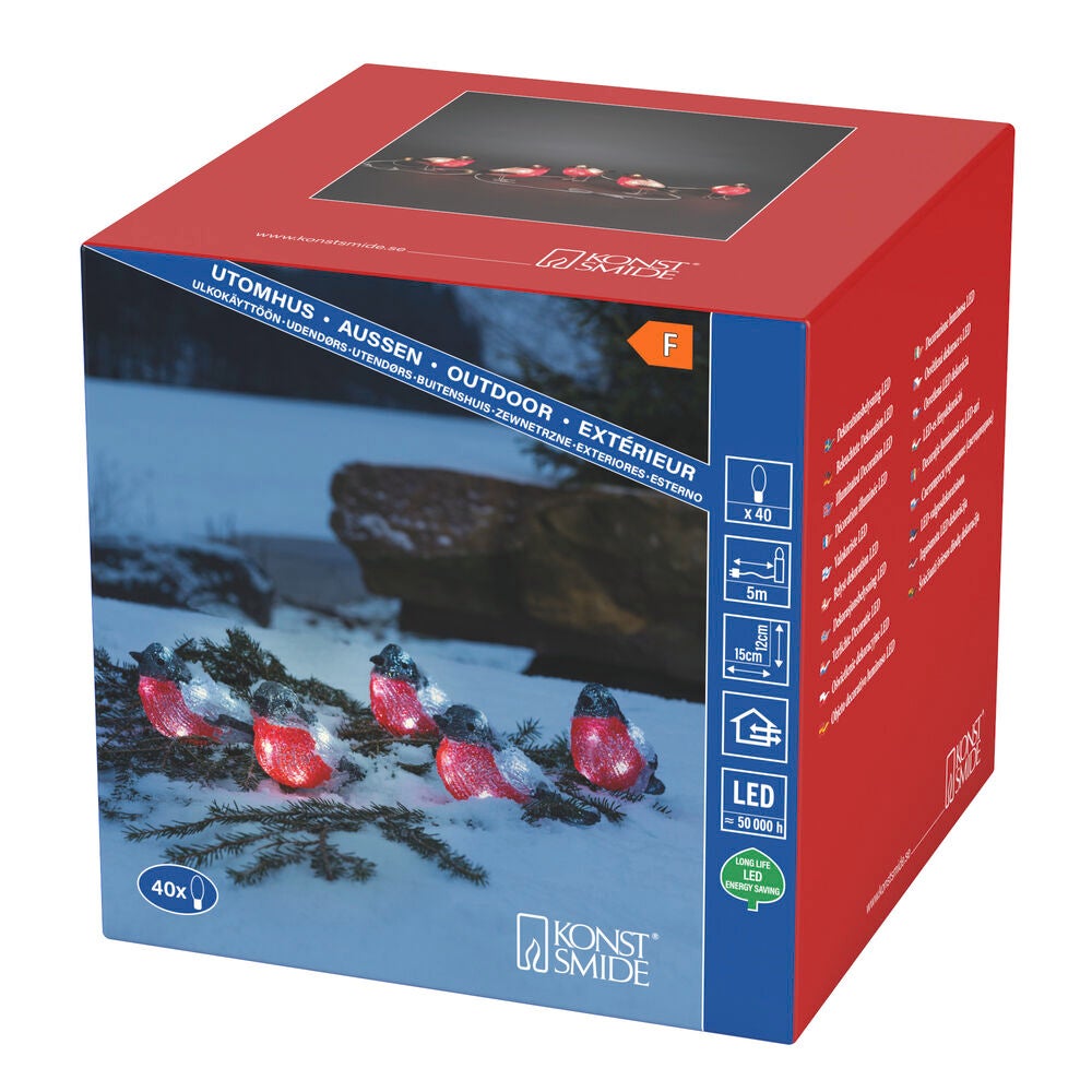 Domherrar akryl 5st LED