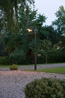 Vega black, Taurus pole includ