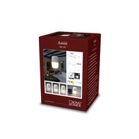 Assisi Solar Light LED White