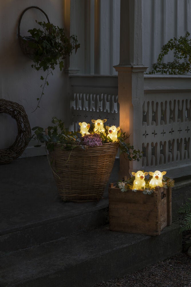  Acryl Lichterk. Schweine 5