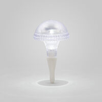 Assisi Solar Light LED, Clear