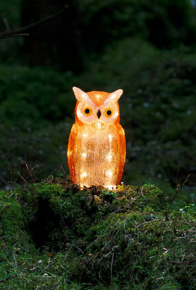 Uggla i akryl, LED, ute