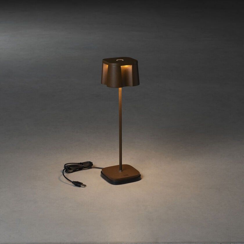Nice bordslampa rost USB