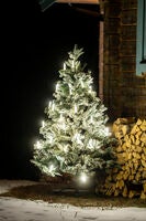 LED Baumkette, Topbirnen, One 