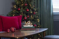 Fiber Optic Bridge/Pond B/O