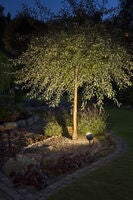 Lecce Spot Light Black, LED