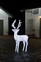 Acrylic reindeer 130cm, LED