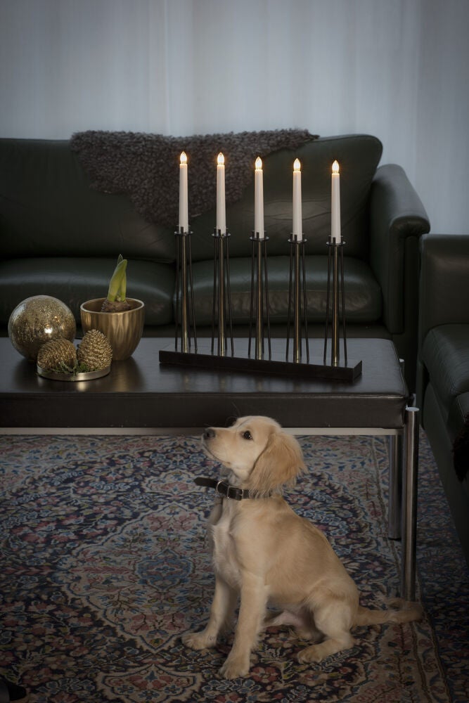 5 Bulb Metal C/Stick Blk/Brass