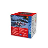 Domherrar akryl 5st LED