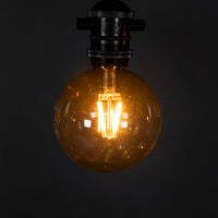 Add-on 10L brown smoky bulbs