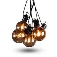 Light Set 10 Replaceable LED