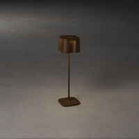 Nice bordslampa rost USB