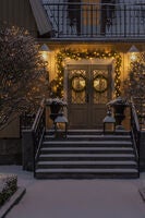 Christmas lightset micro LED