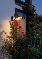 Vega Matt White Wall Light