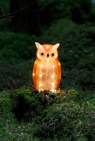 Uggla i akryl, LED, ute