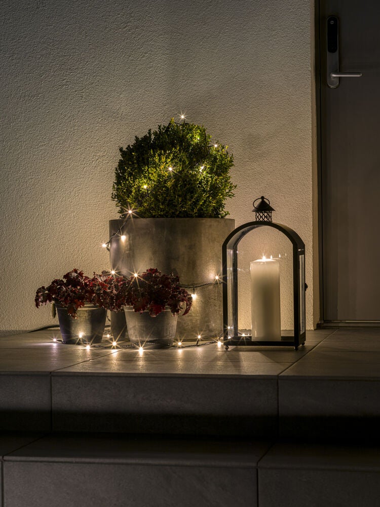 50 Warm White LED Frosted