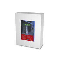 Acrylic Palm Tree 75cm LED