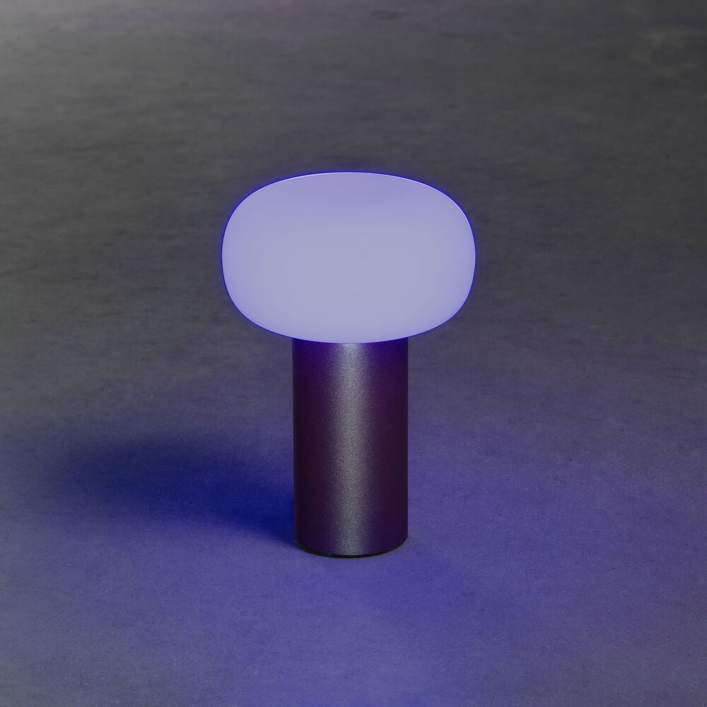 Antibes bordslampa rost USB