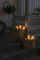  Acryl Lichterk. Schweine 5