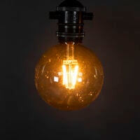 Add-on 10L brown smoky bulbs