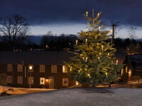 Christmas lightset outd DC LED