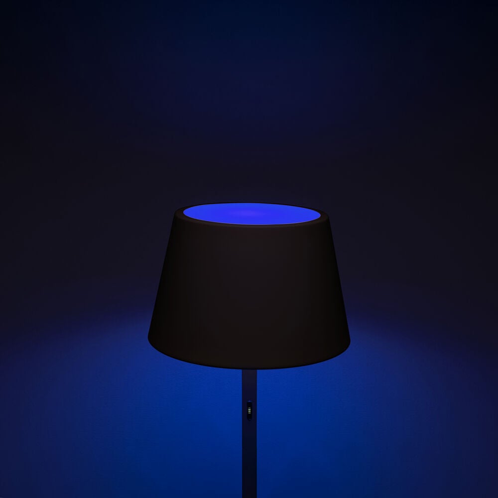 Pomezia floor lamp usb black