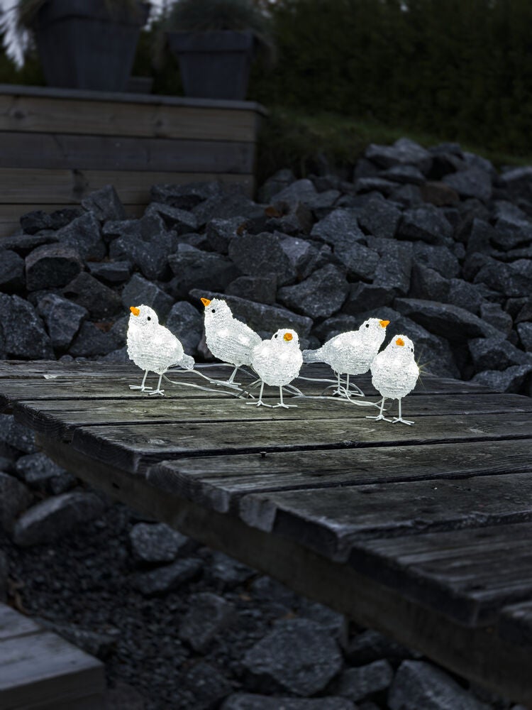 Fåglar 5st akryl vita LED