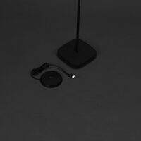 Nice Floor lamp usb black