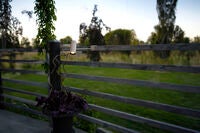 Multi bordslampa Sand USB