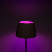 Pomezia floor lamp usb black