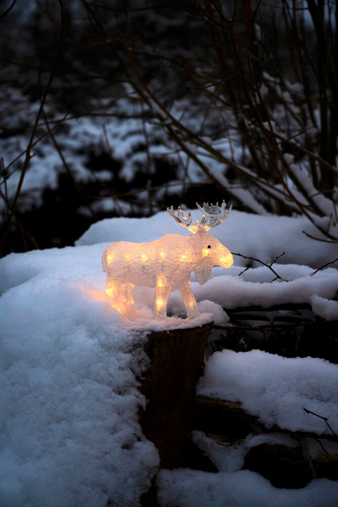 B/O Älg akryl 21 cm 24 LED