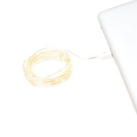 Microslinga 50 Led USB