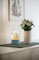 Water lantern, North pole B/O