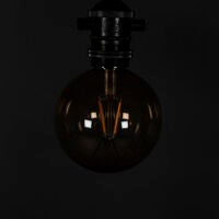 Startset 10L brown smoky bulbs