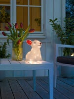 Acrylic Rabbit 22cm 24 LED