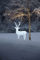 Acrylic reindeer 130cm, LED