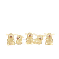  Acryl Lichterk. Schweine 5