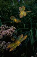 4 Dragonfly Solar Lights