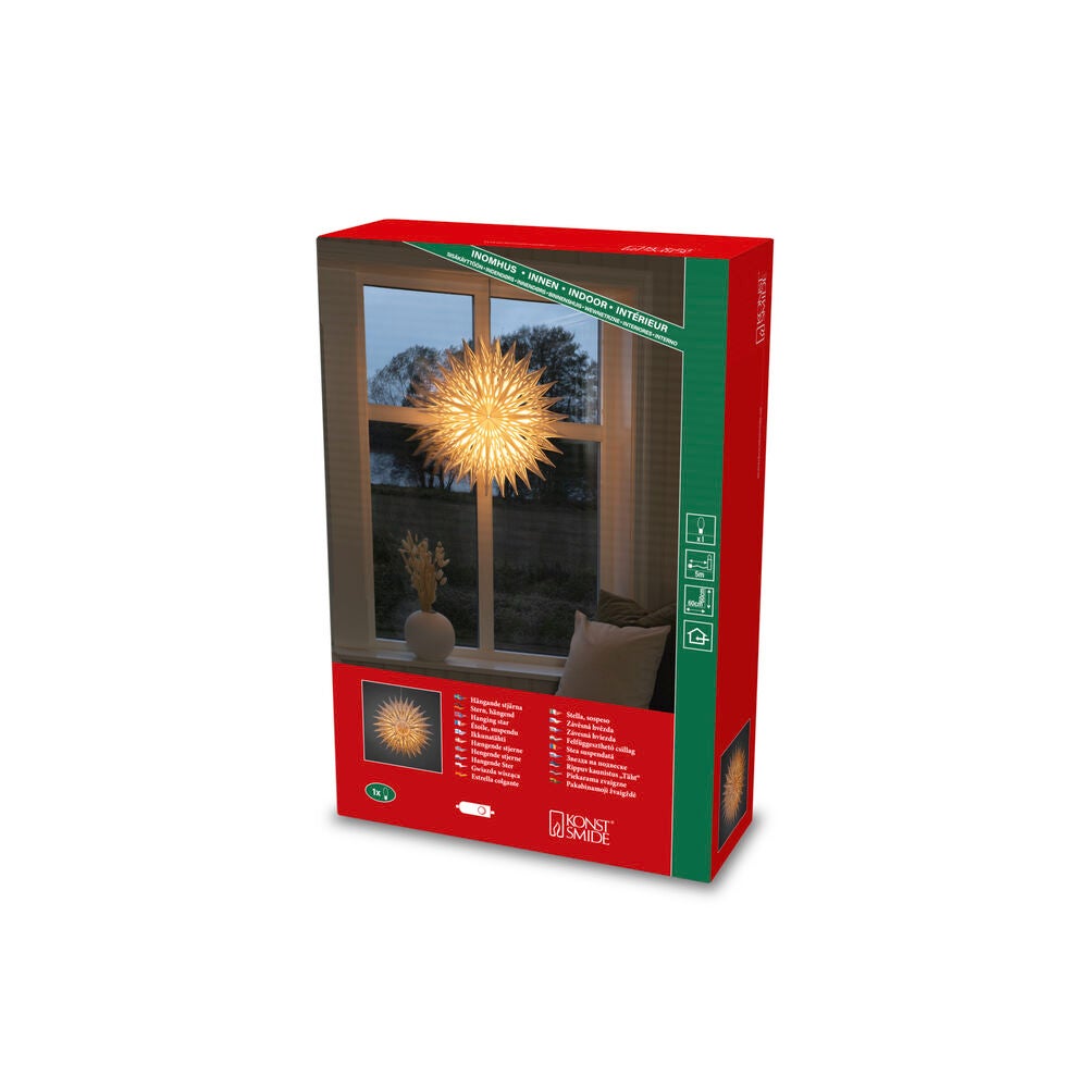 Papierstern, weiss, 60cm,Blume