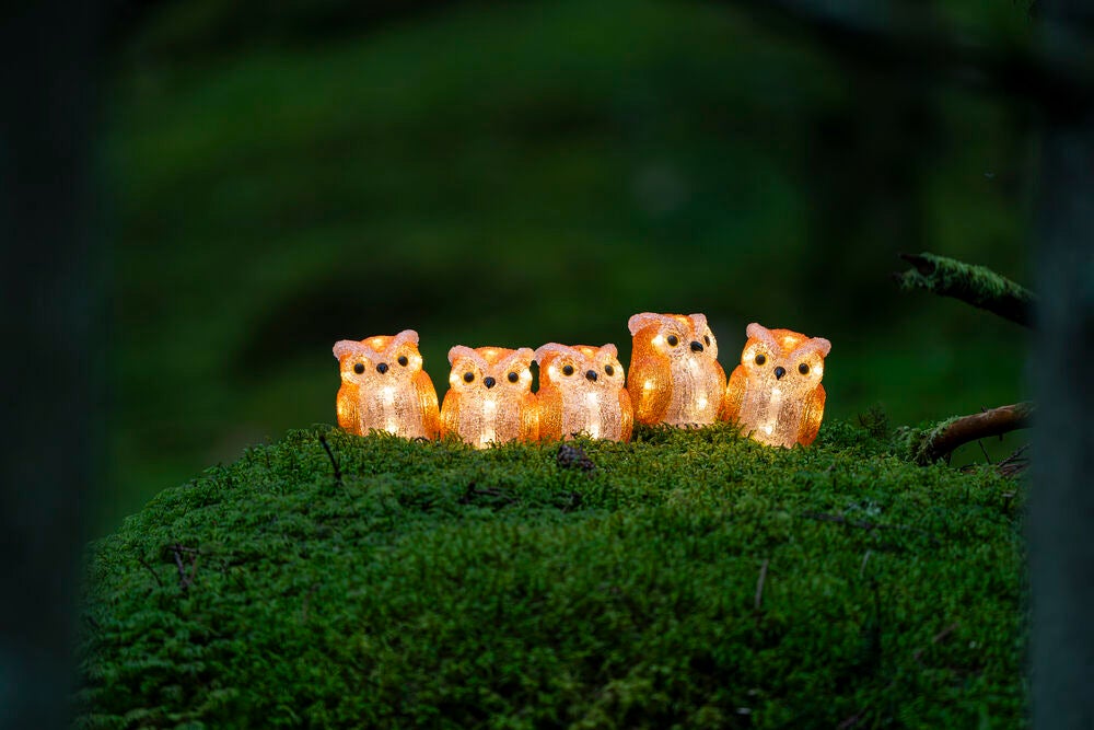 Akryl ugglefamilj 5/set 40LED