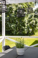 Small Lamp Shade Rattan 5pce