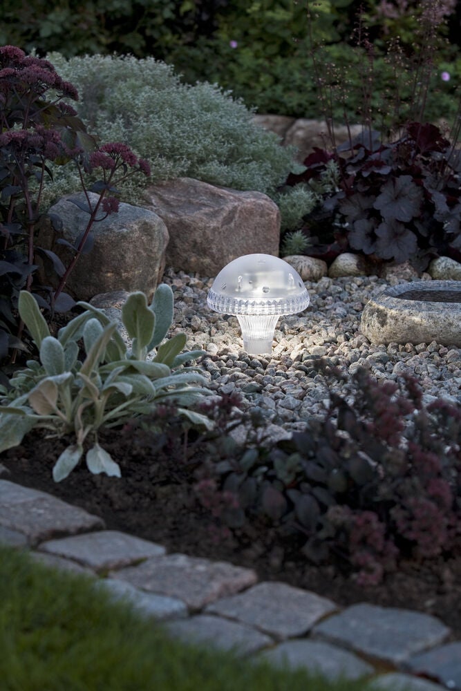 Assisi Solar Light LED, Clear