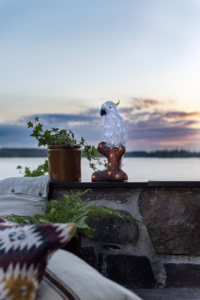 Acrylic parrot, 47cm, 48 LED