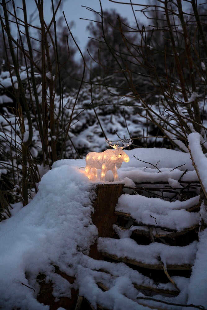 B/O Älg akryl 21 cm 24 LED