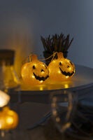 Acrylic pumpkin set B/O