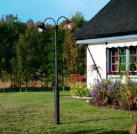 Vega Twin Head - matt black