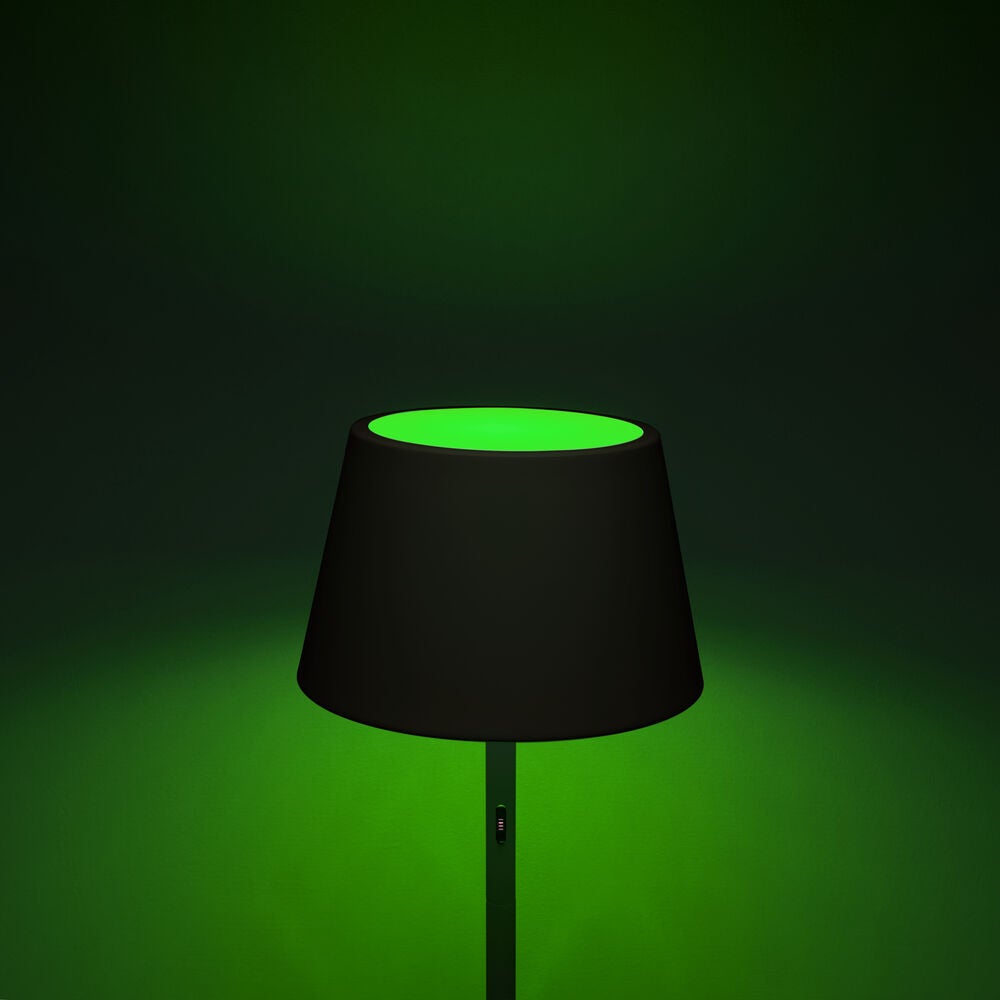 Pomezia floor lamp usb black