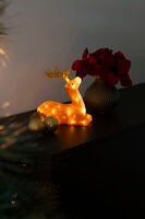 LED Acryl Rentier, 24 LED