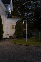 Vega black, Taurus pole includ