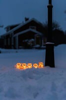 Acrylic owl family 5/set 40LED